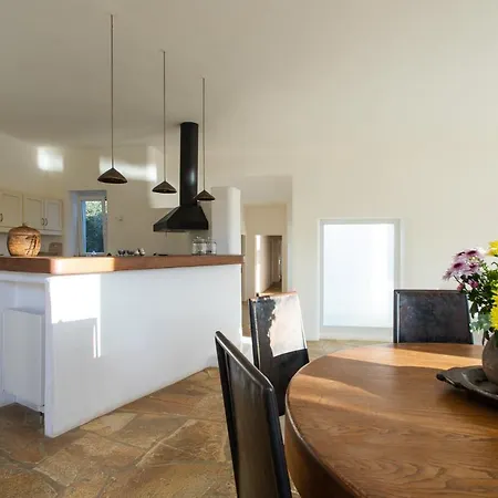 Zen In Lia * קלפטיס