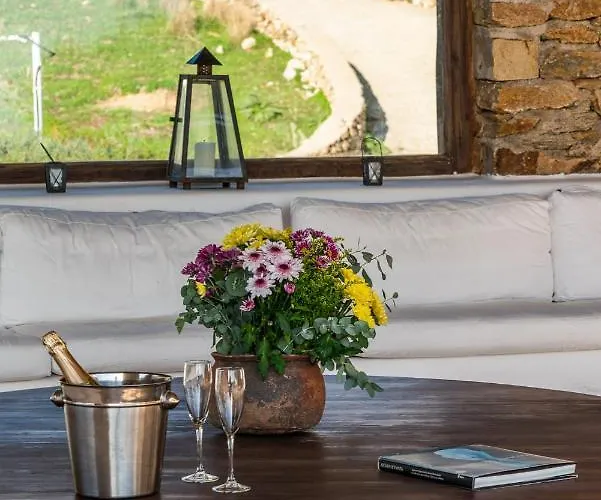 Zen In Lia Vila Kalafatis